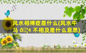 风水相搏症是什么(风水牛马 🦢 不相及是什么意思)